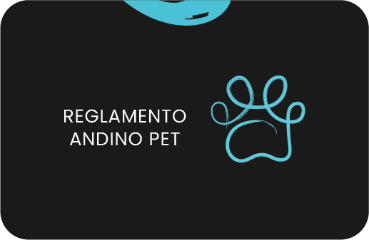 icono_reglamentokids