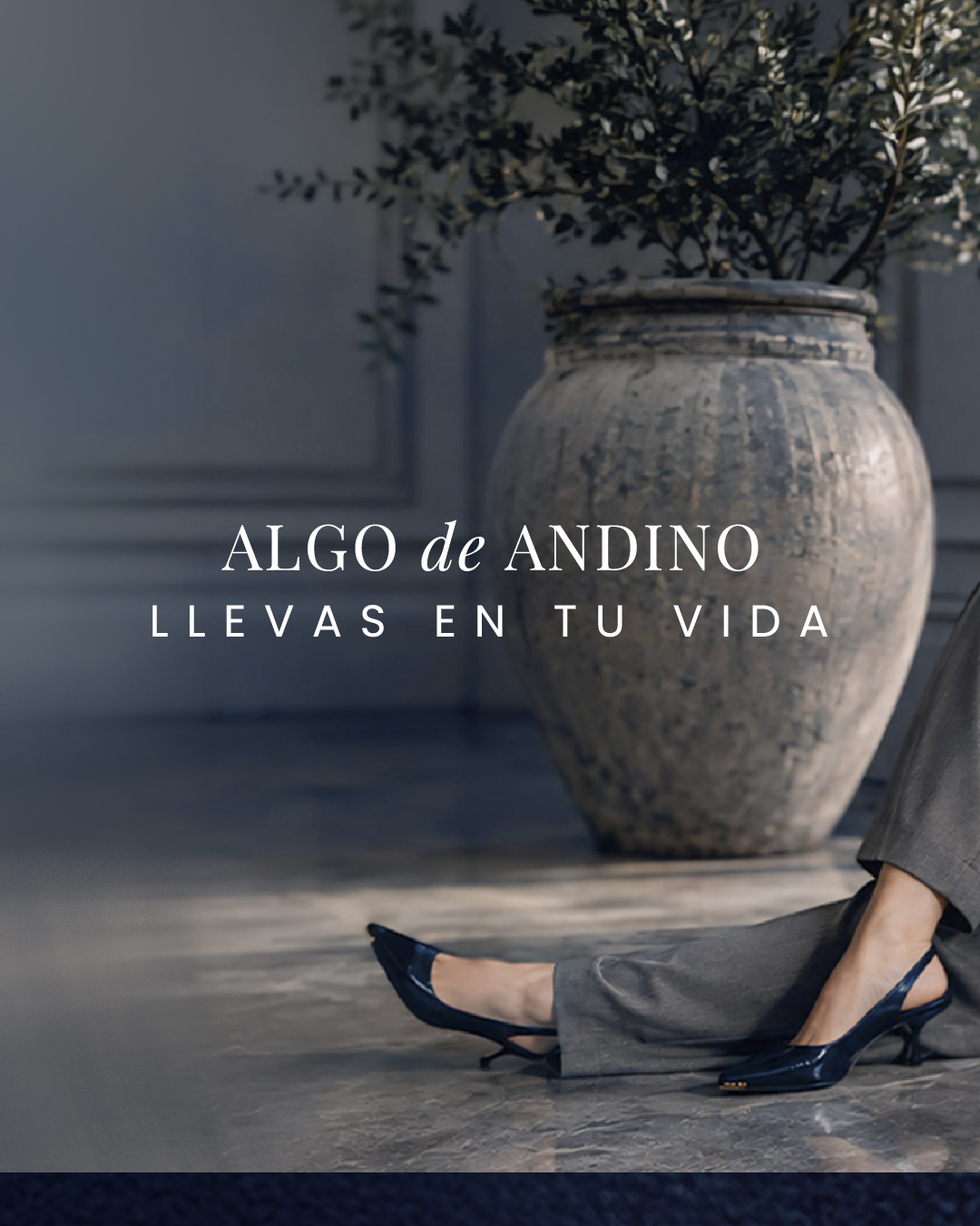 Centro Comercial Andino Bogotá